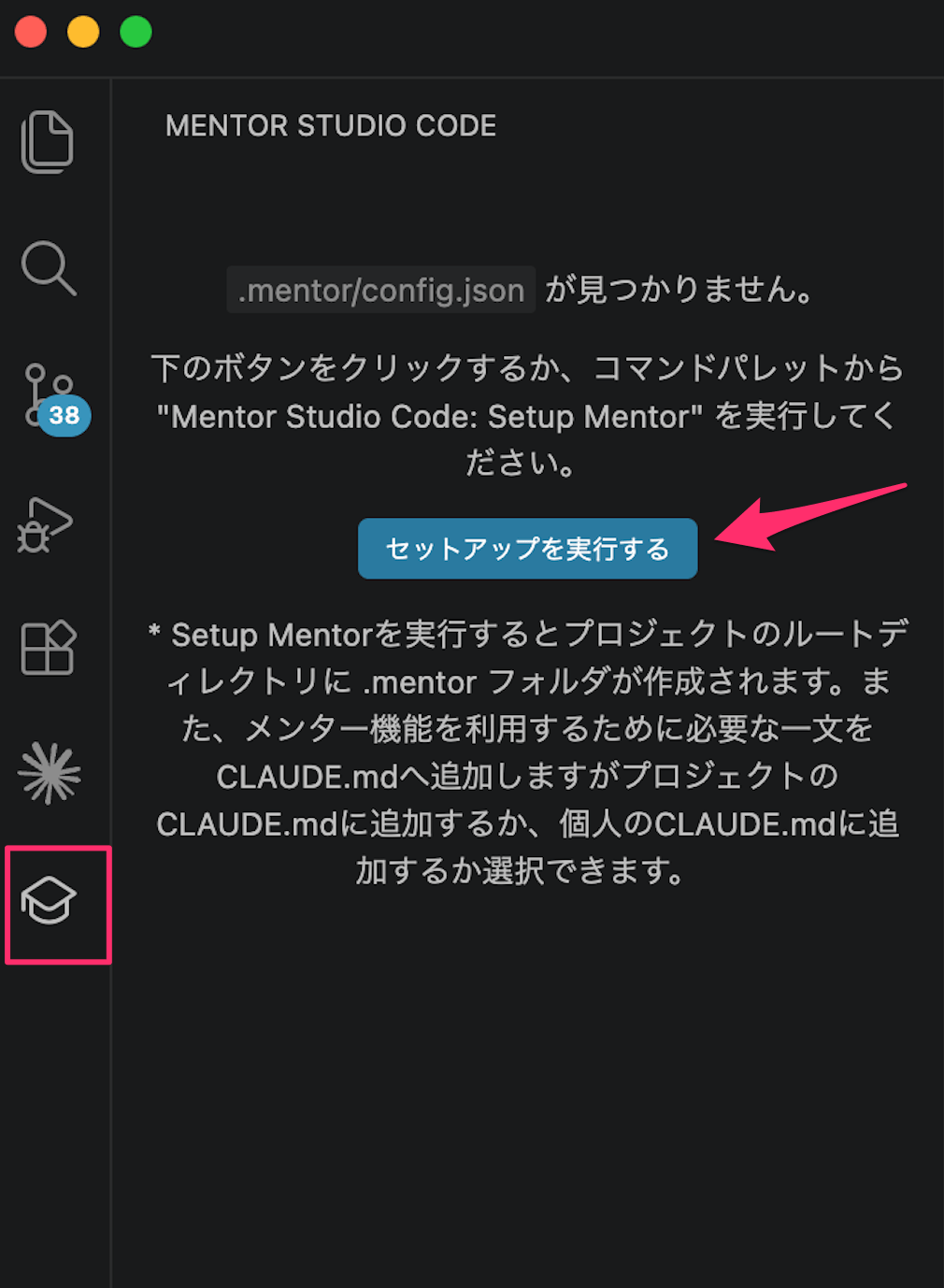 Activity Bar icon and Setup button